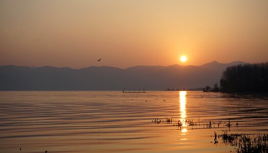 Sun dusk nature