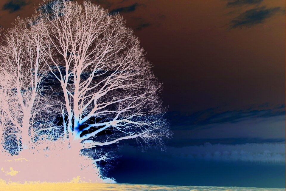 Fog sky wintry
