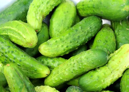 Green food fresh