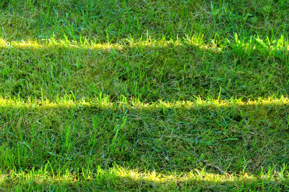 Landscape soil the environment