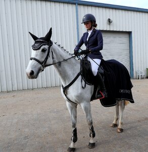 Mammal holding on horseback