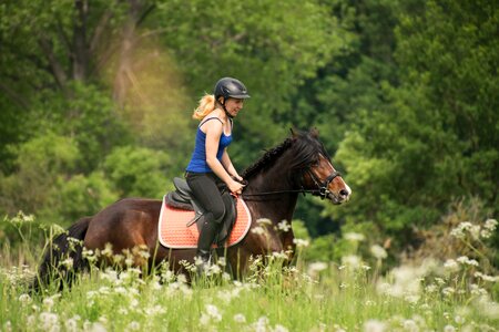 Horsewoman ride pony