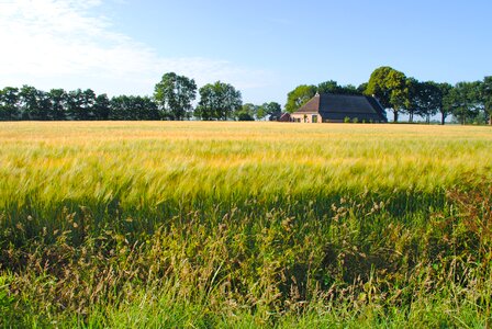 Summer rural countryside photo