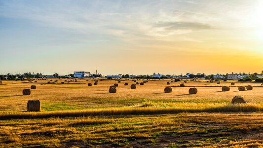 Farm nature rural photo