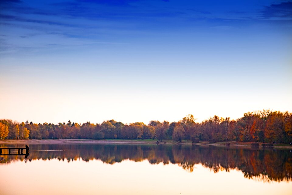 Nature water forest