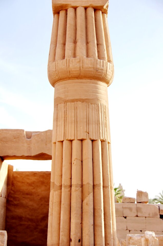 Engraving column papyriforme architecture