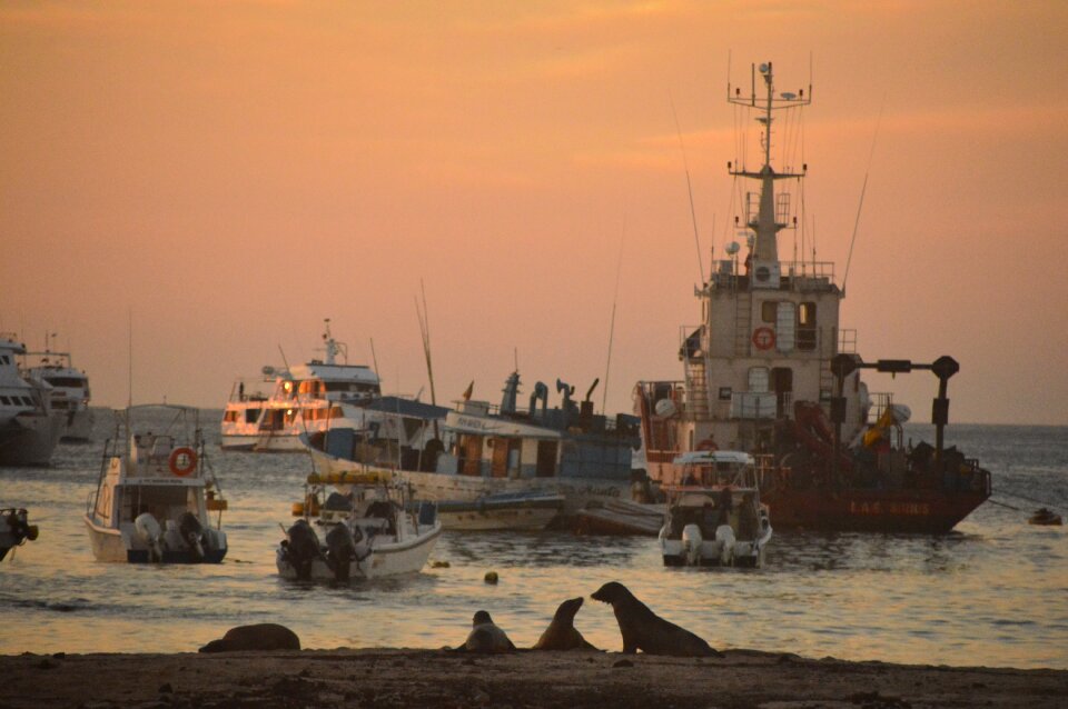 Boats galapagos islands nature