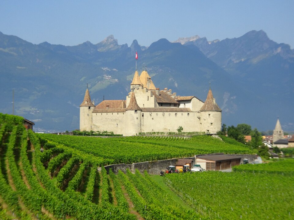 Medieval historical fort