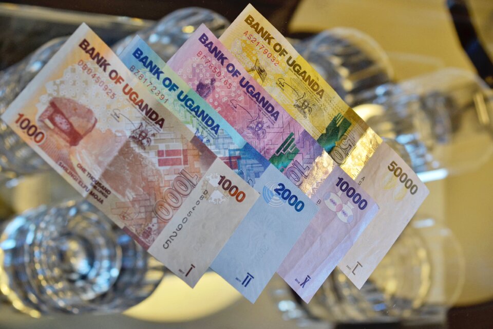 Banknote currency wealth
