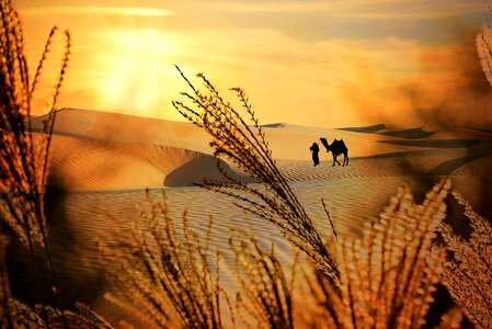 Dunes sand sunset photo