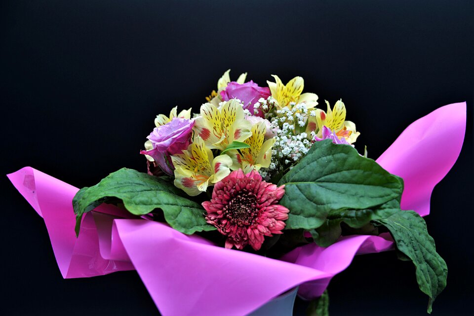 Colorful flowers gift