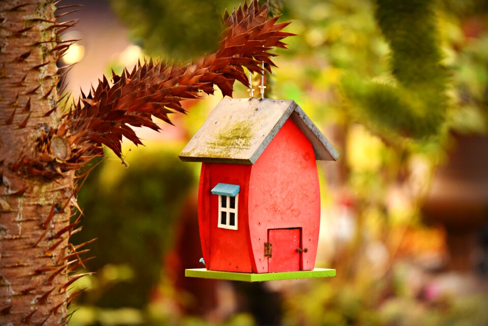Nest shelter wooden