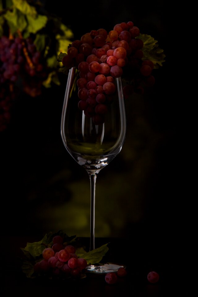 Vintage wine drink