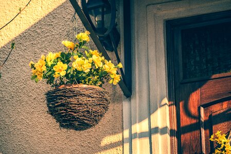 Flowers pot outdoor
