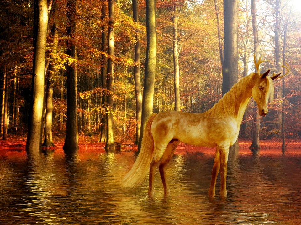 Compose animals mythical