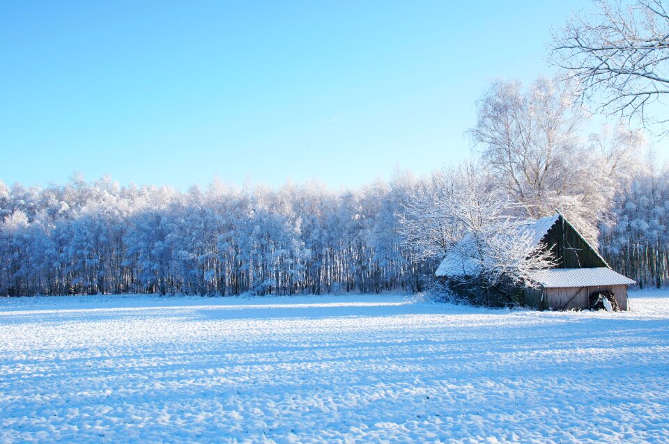 Snow cold landscape photo