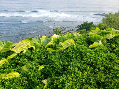 Hawaii water scenic