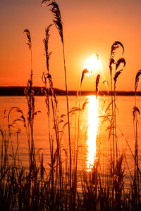 Landscape nature beach photo