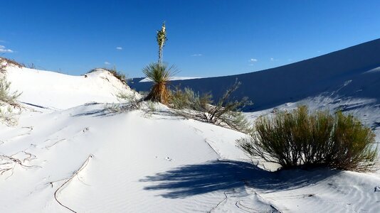 White hot dunes