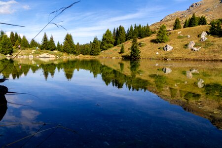 Alpine nature water