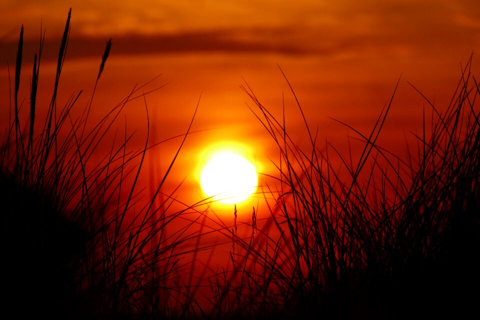 Nature coast abendstimmung
