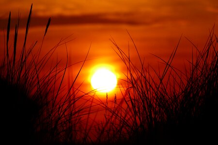 Nature coast abendstimmung