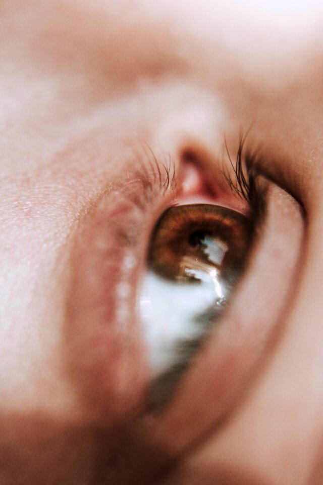 Portrait woman brown eye