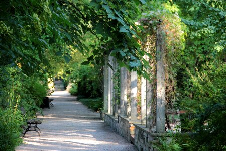 The path alley bench