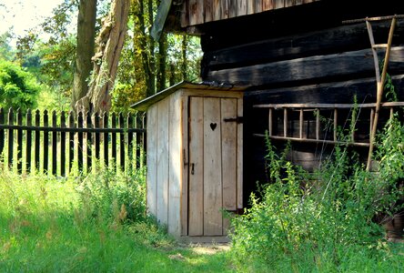 Old wooden nature