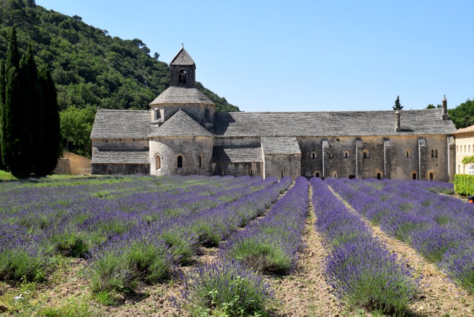 Lavender abbey architecture