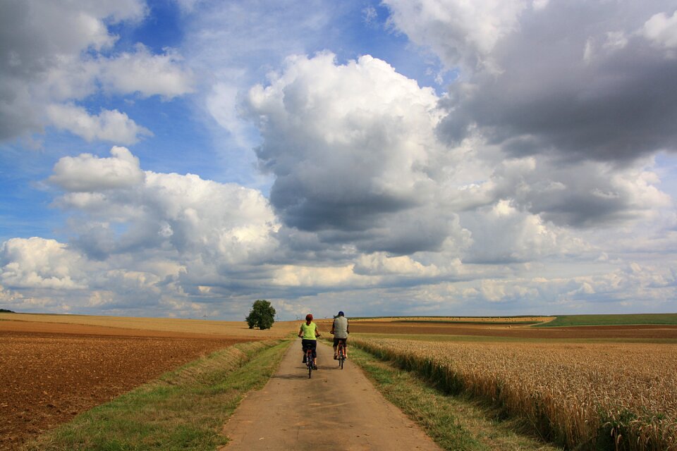 Cloud agriculture field