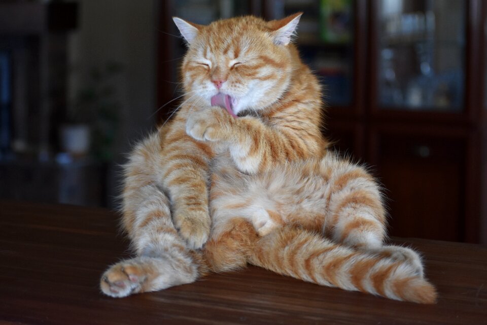 Funny posture washing