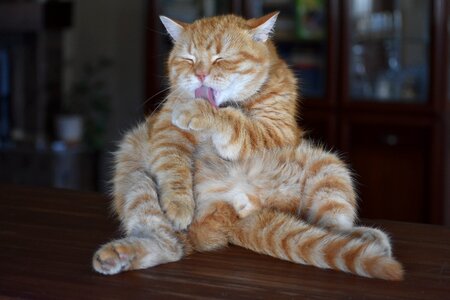 Funny posture washing