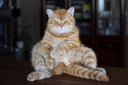Funny posture harsh