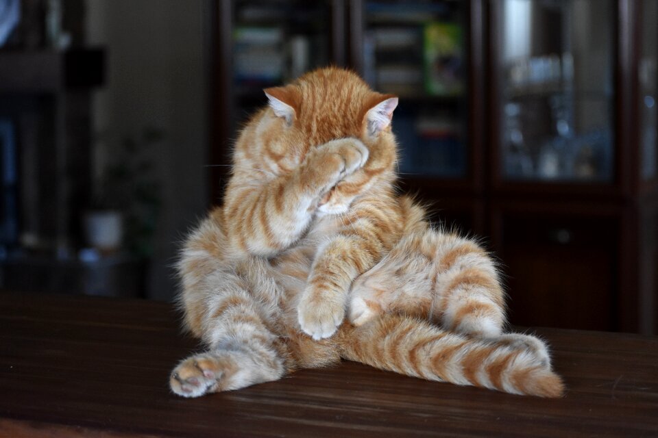 Funny posture shame
