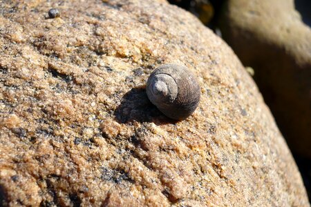 Beach casing summer