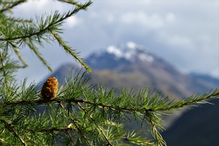 Tops the prospect of mountains photo