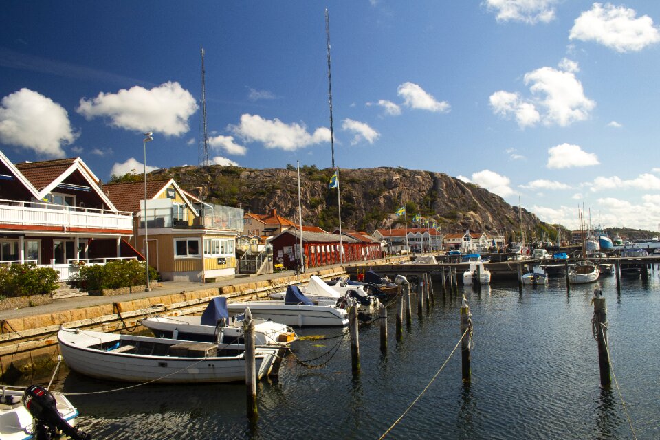 Summer nature bohuslän
