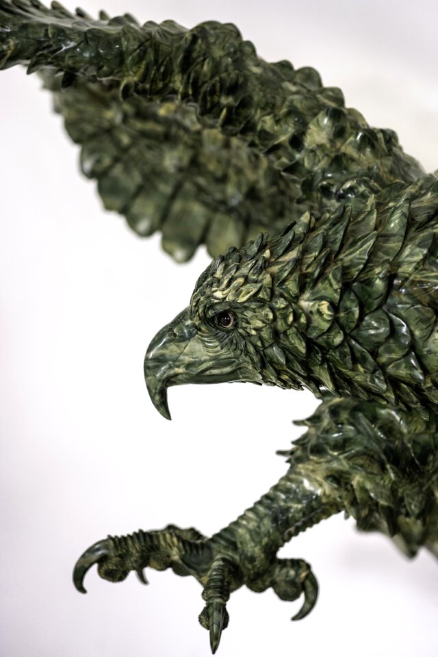 Animal beak plumage