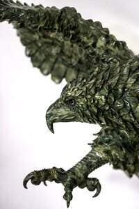 Animal beak plumage
