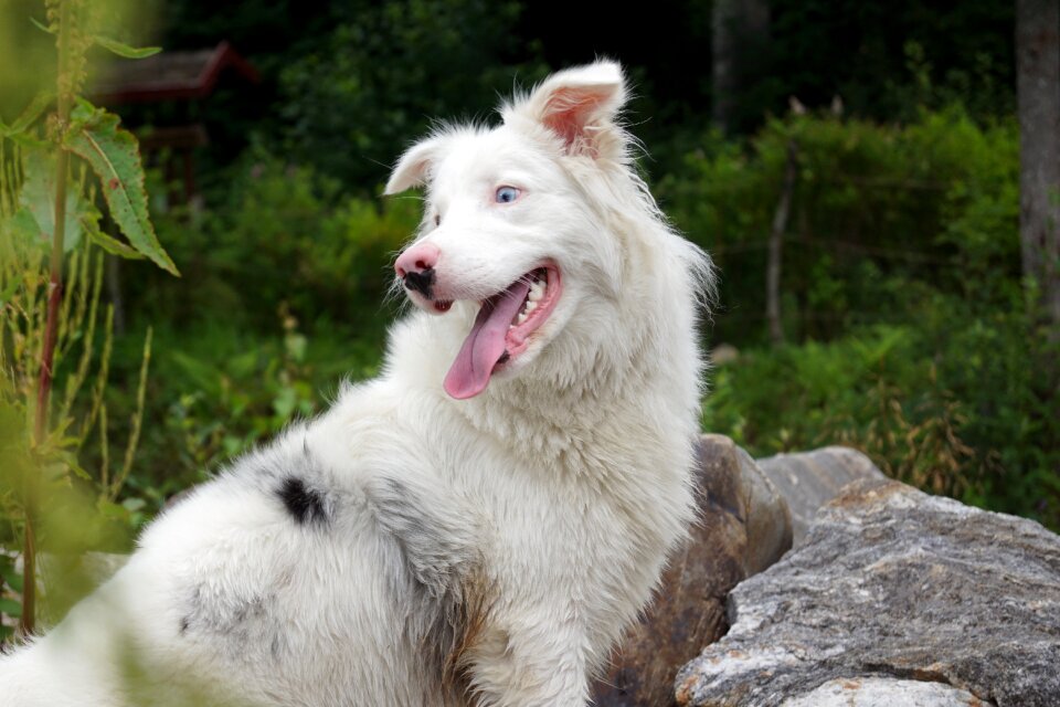 Nature cute portrait