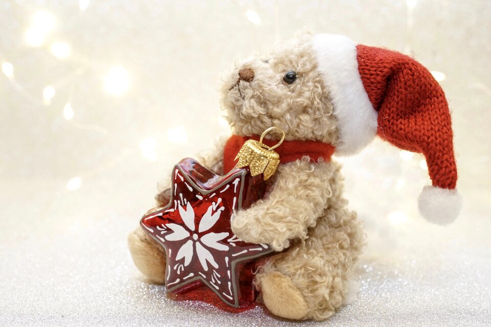 Teddy bear bear nicholas