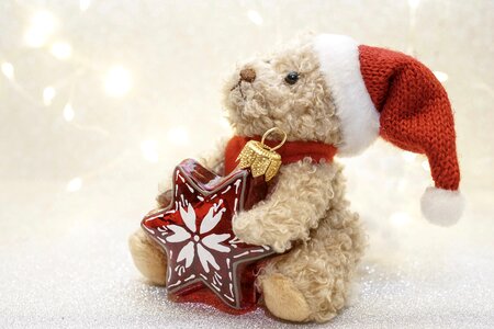Teddy bear bear nicholas
