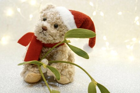 Teddy bear bear nicholas