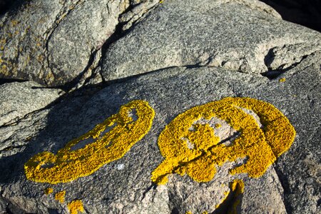 Landscape bank stones