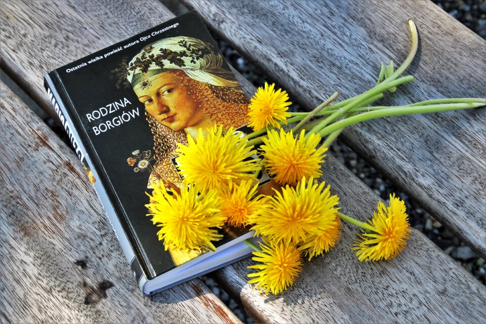 Yellow plants book
