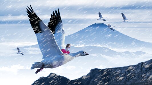 Snow mystical fairytale