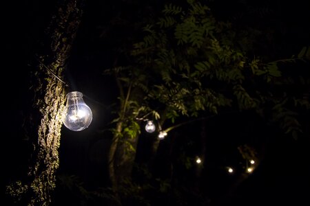 Energy lighting garden photo