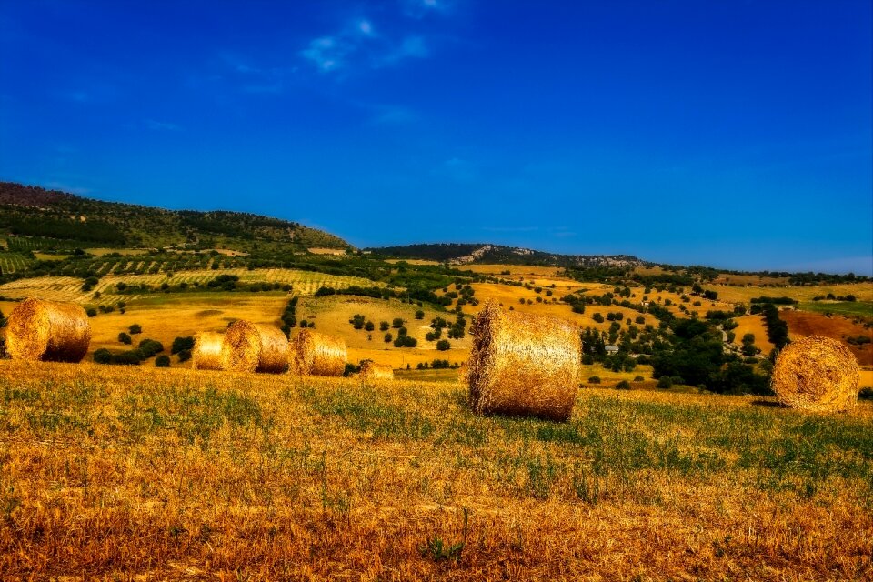 Bale landscape straw bales