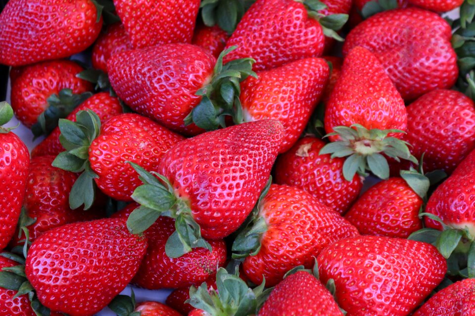 Food close up vitamins